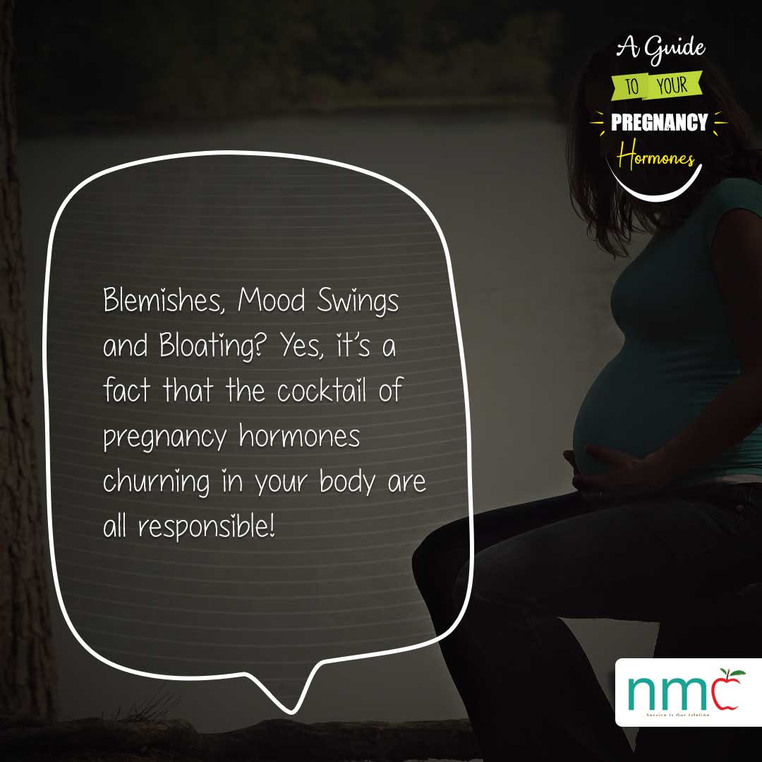 A Guide to your Pregnancy Hormones