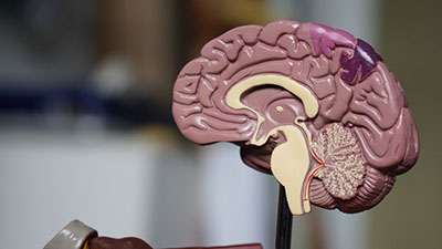 Traumatic Brain Injury – Causes, Symptoms and Treatments