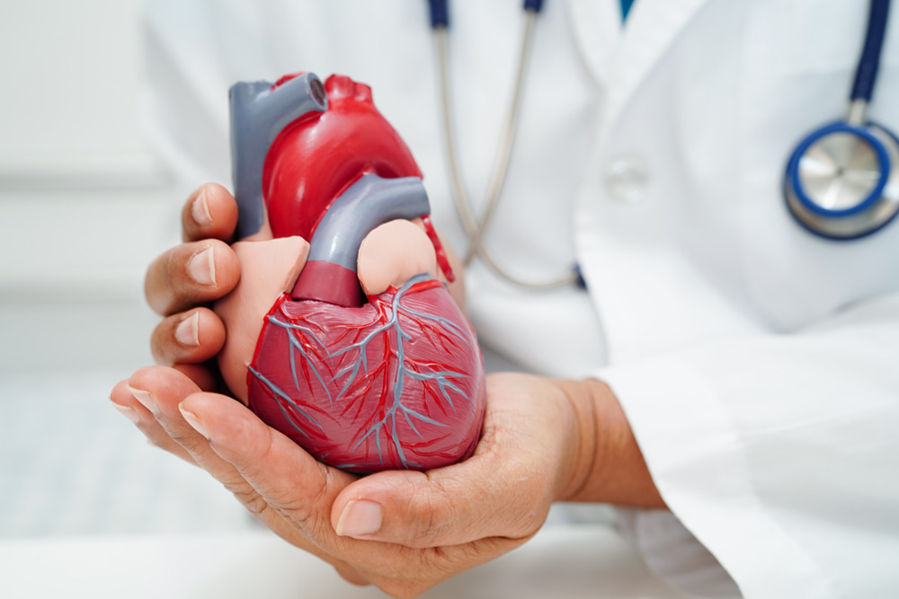Heart Specialist