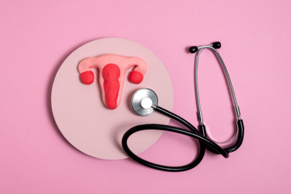 Common Gynecological Myths