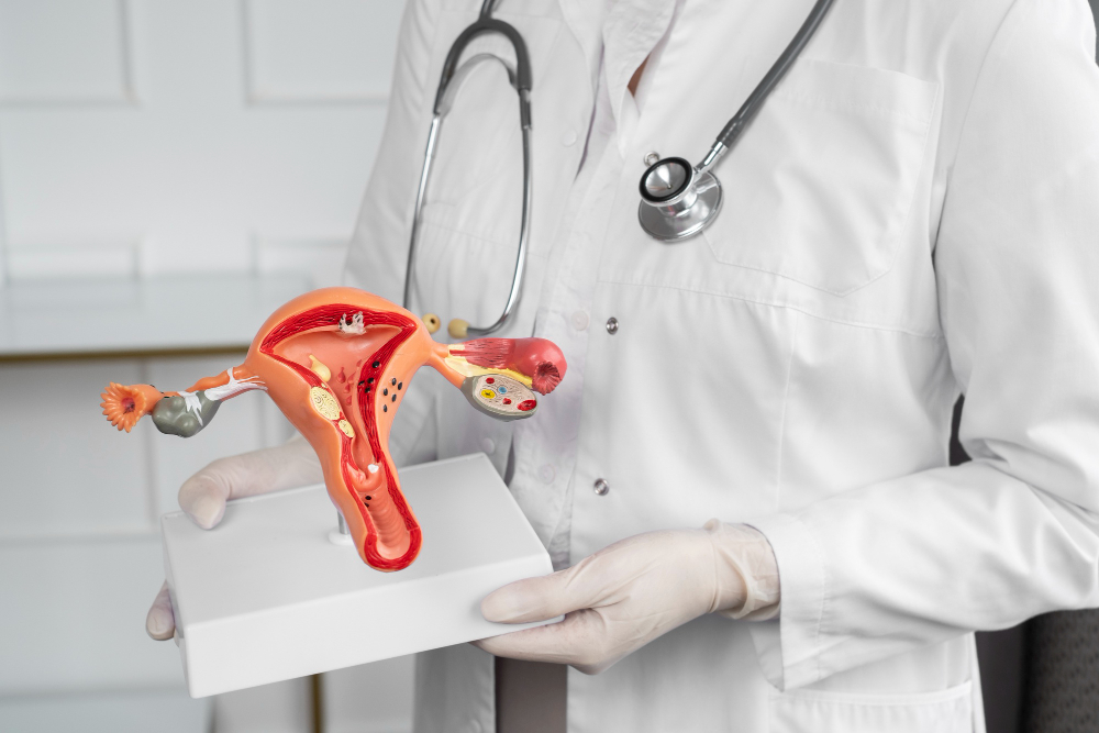 Polyendocrine Metabolic Ovarian Syndrome (PMOS): Symptoms, Causes & Treatment